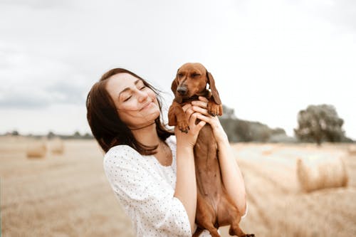 The Importance of Preventive Maintenance in Pet Skin Care