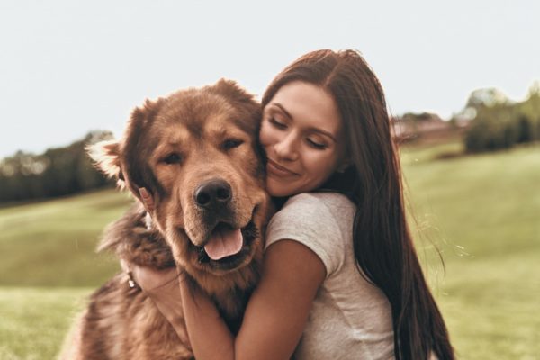 How Can You Help Your Pet Recover After Surgery?