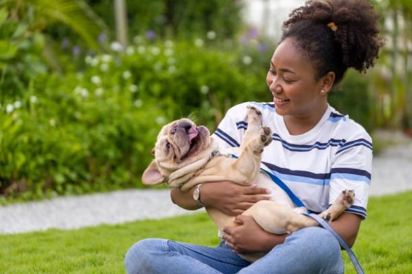 Can MRI Scans Improve Veterinary Care for Pets?
