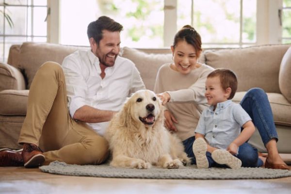 Where Should I Take My Dog for Regular Check-ups?