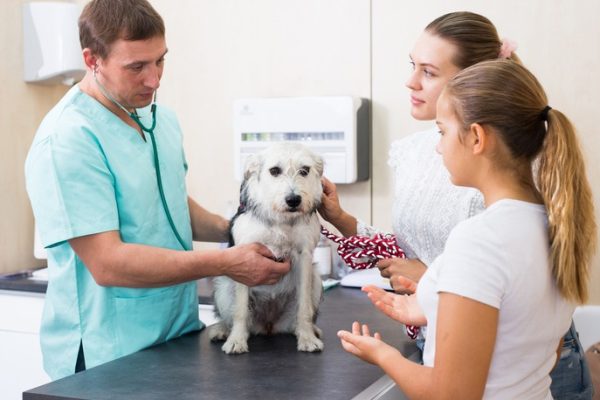 Where Can You Find Reliable Resources for Pet Care Tips?
